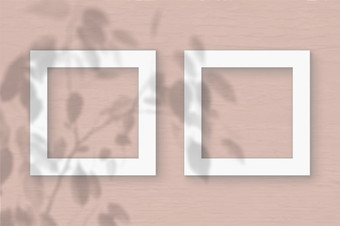 两个广场表白色变形纸的桃子墙背景模型与覆盖植物阴影自然光数据类型转换阴影从的叶子异国情调的植物平躺前视图两个广场表白色变形纸的桃子墙背景模型与覆盖植物阴影自然光数据类型转换阴影从的叶子异国情调的植物平
