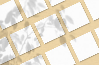 几个广场表白色变形纸对桃子墙背景模型与覆盖植物阴影自然光数据类型转换阴影从异国情调的植物水平取向几个广场表白色变形纸对桃子墙背景自然光数据类型转换阴影从异国情调的植物平躺前视图