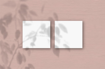 广场表白色变形纸thepink墙背景模型覆盖与的植物阴影自然光数据类型转换阴影从异国情调的植物平躺前视图水平取向广场表白色变形纸的粉红色的墙背景模型覆盖与的植物阴影自然光数据类型转换阴影从异国情调的植
