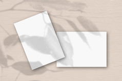 表白色变形纸对桃子墙模型与覆盖植物阴影自然光数据类型转换阴影从异国情调的植物平躺前视图水平取向表白色变形纸对桃子墙模型覆盖与的植物阴影自然光数据类型转换阴影从异国情调的植物平躺前视图水平取向