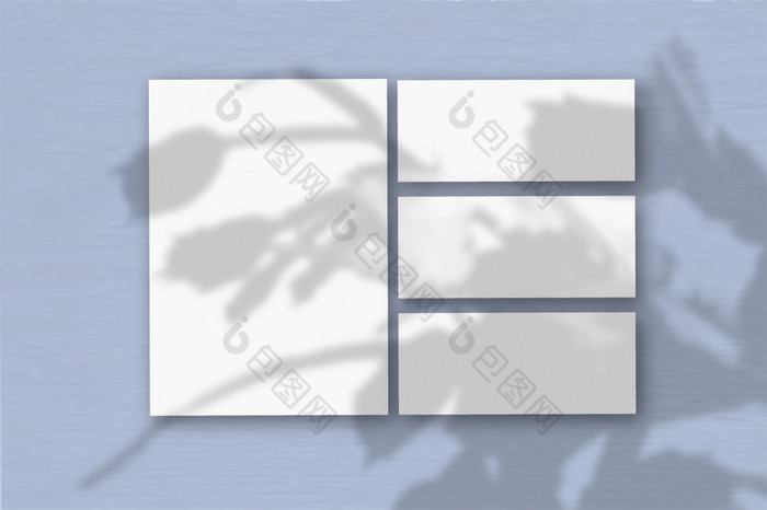 几个水平和垂直表白色变形纸的背景蓝色的墙自然光数据类型转换阴影从zygocactus平躺前视图水平取向几个水平和垂直表白色变形纸的背景蓝色的墙自然光数据类型转换阴影从异国情调的植物平躺前视图