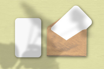 信封与两个表变形白色纸黄色的表格背景模型与覆盖植物阴影自然光数据类型转换阴影从的天竺葵水平取向信封与两个表变形白色纸黄色的表格背景模型与覆盖植物阴影自然光数据类型转换阴影从热带植物