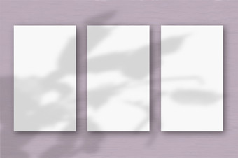 垂直表变形白色纸软粉红色的表格背景模型与覆盖植物阴影自然光数据类型转换阴影从zygocactus水平取向垂直表变形白色纸软粉红色的表格背景模型覆盖与的植物阴影自然光数据类型转换阴影从异国情调的植物水平