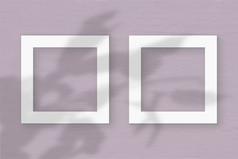 两个广场表白色变形纸的粉红色的墙背景模型与覆盖植物阴影自然光数据类型转换阴影从的叶子zygocactus平躺前视图两个广场表白色变形纸的粉红色的墙背景模型与覆盖植物阴影自然光数据类型转换阴影从的叶子异