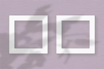 两个广场表白色变形纸的粉红色的墙背景模型与覆盖植物阴影自然光数据类型<strong>转换</strong>阴影从的叶子zygocactus平躺前视图两个广场表白色变形纸的粉红色的墙背景模型与覆盖植物阴影自然光数据类型<strong>转换</strong>阴影从的叶子异