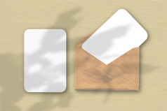 信封与两个表变形白色纸黄色的表格背景模型与覆盖植物阴影自然光数据类型转换阴影从zygocactus水平取向信封与两个表变形白色纸黄色的表格背景模型与覆盖植物阴影自然光数据类型转换阴影从热带植物
