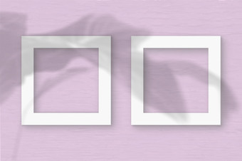 两个广场表白色变形纸的粉红色的墙背景模型与覆盖植物阴影自然光数据类型转换阴影从的叶子异国情调的植物平躺前视图两个广场表白色变形纸的粉红色的墙背景模型与覆盖植物阴影自然光数据类型转换阴影从的叶子异国情调