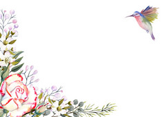 水平框架与水彩玫瑰花叶子装饰和蜂鸟为的设计问候卡片邀请等水平框架与水彩玫瑰花叶子装饰和蜂鸟为的设计问候卡片邀请等