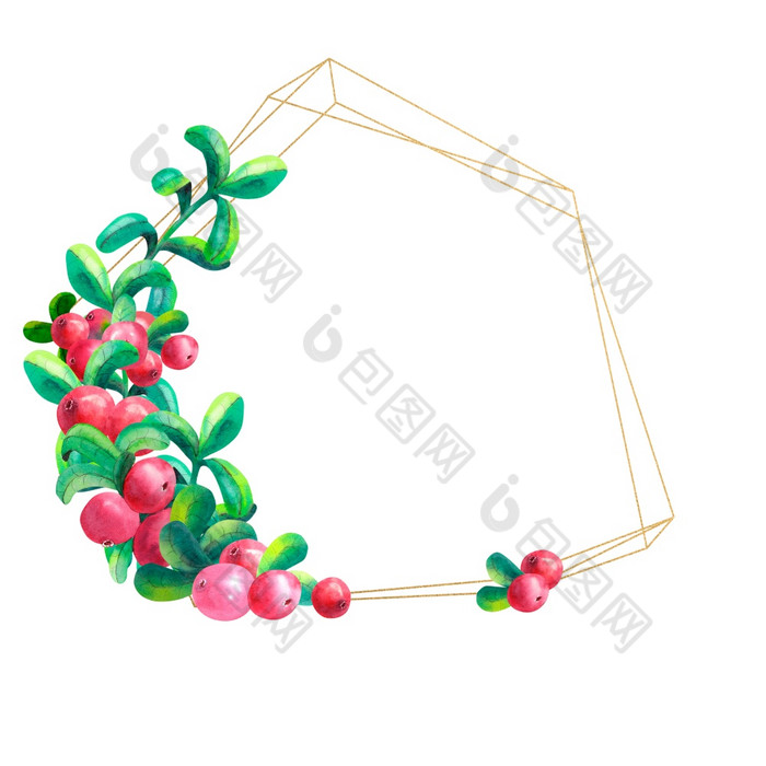 成熟的浆果越橘白色背景孤立的黄金几何框架水彩插图成熟的浆果越橘白色背景孤立的黄金几何框架水彩插图