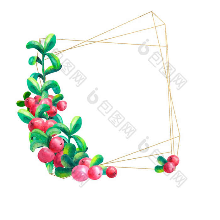 成熟的浆果越橘白色背景孤立的黄金几何框架水彩插图成熟的浆果越橘白色背景孤立的黄金几何框架水彩插图