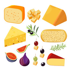 向量集现实的乳制品产品孤立的集合奶酪块和片使用为餐厅菜单各种各样的类型奶酪与西红柿辣椒和草本植物