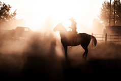 日落轮廓马回来骑手发光马术牛仔竞技表演尘土飞扬的竞技场骑