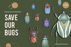 昆虫和鸟框架设计与各种各样的错误水彩插图