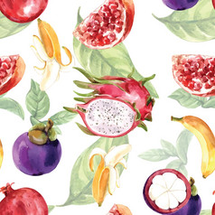 模式设计与水果主题各种各样的水果水彩无缝的插图模板