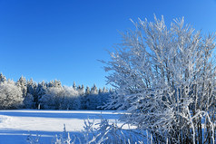 白色冬天景观的厙