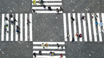 东京日本10月前视图未定义的日本人人群是走十字架的街之间的的<strong>建筑新</strong>宿站哪一个区10月东京日本