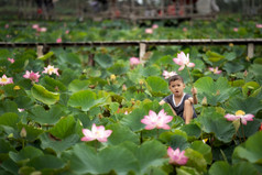 越南男孩玩与的粉红色的莲花在的传统的木船的大湖塔普项盾塔普省越南文化和生活概念