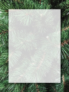 圣诞节背景设计空白白色透明的董事会圣诞节树