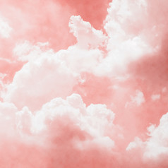 生活珊瑚天空与云背景
