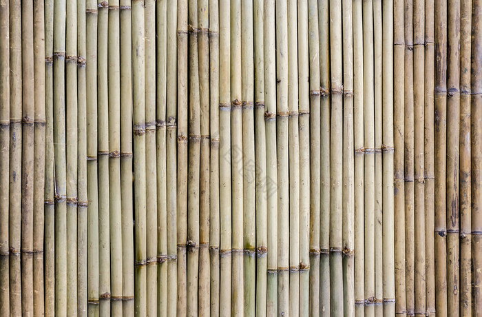 竹子栅栏图片