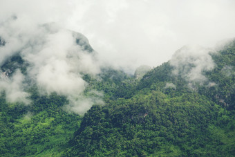 多山的雨雾和森林景观