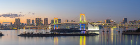 全景视图东京湾与彩虹桥东京城市日本