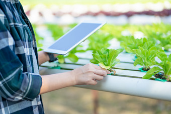 肖像年轻的聪明的农民使用数字平板电脑电脑为检查使用技术农业场应用程序农业日益增长的活动和检查质量概念
