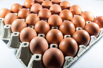 新鲜的鸡蛋从的农场的<strong>面板</strong>白色纸背景鸡蛋安排<strong>面板</strong>纸鸡蛋和纸<strong>面板</strong>白色背景