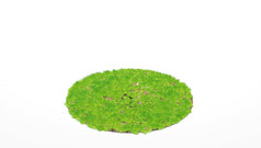 呈现交叉部分圆与绿色草孤立的白色背景