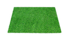 绿色地毯草孤立的白色背景