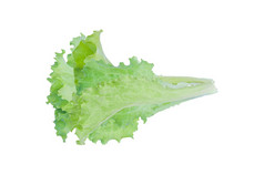 绿色生菜沙拉孤立的白色背景与剪裁路径