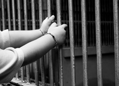 关闭手孩子抓的动物笼子里的动物园危险的孩子们