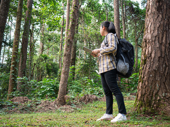 年轻的女人旅行者搜索全球定位系统(gps)<strong>坐标</strong>平板电脑森林夏天假期一天生活方式徒步旅行概念