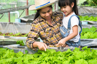 年轻的妈妈。稻草他教学她的女儿后院花园小女孩帮助她的妈妈。的花园小园丁可爱的女孩种植蔬菜的花园
