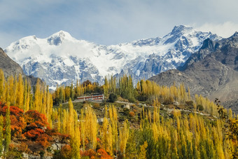 秋天色彩斑斓的<strong>树叶</strong>hunza谷与雪封顶山喀拉昆仑山脉<strong>范</strong>围的背景吉尔吉特巴尔蒂斯坦巴基斯坦