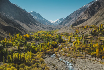 自然景观视图黄色的和绿色树叶秋天与流包围山喀拉昆仑山脉范围鸬鹚吉尔吉特巴尔蒂斯坦巴基斯坦