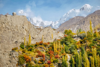 自然景观视图色彩斑斓的树叶hunza谷秋天季节altit堡山前对雪封顶ultar搜救山峰喀拉昆仑山脉范围吉尔吉特巴尔蒂斯坦巴基斯坦