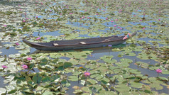 小木船的湖与莲花背景