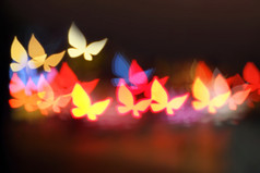 色彩斑斓的蝴蝶长途跋涉散景美丽的晚上