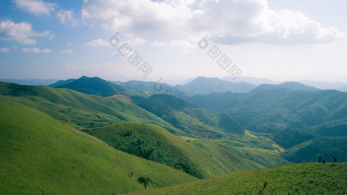 绿色草地的山冬天