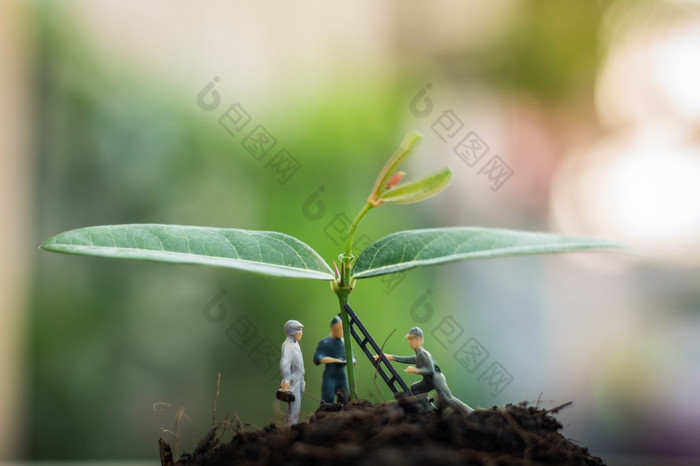 微型人团队作品检查和植物树为绿色世界项目植物树为更好的世界