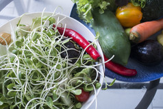 新鲜的向日葵豆芽厨房蔬菜沙拉健康的食物