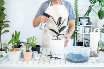 亚洲女人园丁休闲衣服取哪植物和水喷雾与多雾的喷雾瓶植物的表格的房间首页而爱好活动概念首页花园