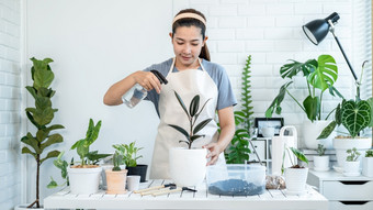 亚洲女人园丁休闲衣服取哪植<strong>物</strong>和水喷雾与多雾的喷雾瓶植<strong>物</strong>的表格的房间<strong>首页</strong>而爱<strong>好</strong>活动概念<strong>首页</strong>花园