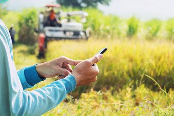 农民手使用移动电话农业概念