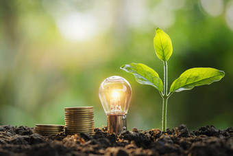 灯泡钱堆栈和年轻的植物自然的想法<strong>储蓄</strong>能源和会计金融概念