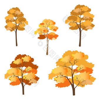 向量集秋天树孤立的白色背景集合秋天卡通树红色的橙色黄色的叶子分支机构色彩鲜艳的树为秋天公园景观背景