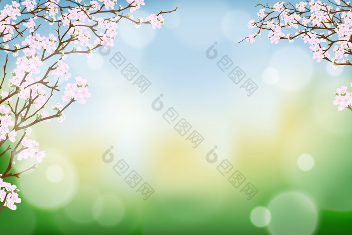 分支机构樱桃春天花盛开的毛茸茸的散景背景春天背景与樱桃开花边境和模糊的光效果模板横幅为复活节春天