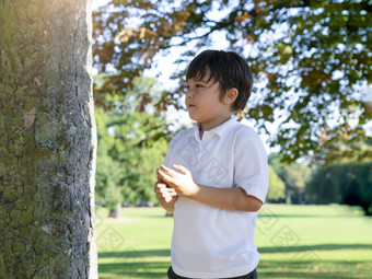 肖像大小视图快乐<strong>学校</strong>孩子站下大树热阳光明媚的一天春天夏天可爱的孩子男孩玩的公园后<strong>学校健康</strong>的和积极的孩子们