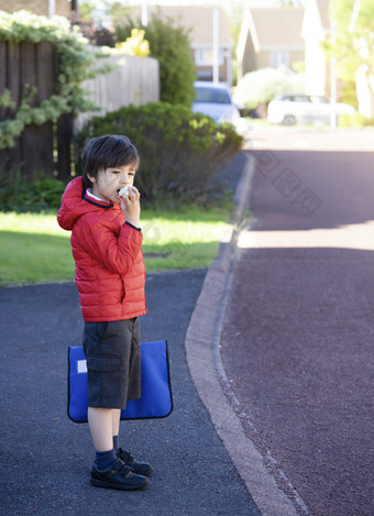 肖像<strong>学校</strong>男孩吃红色的苹果活跃的<strong>学校</strong>孩子站外等待为<strong>学校</strong>公共汽车的早....回来<strong>学校</strong>概念五个一天食物为孩子们